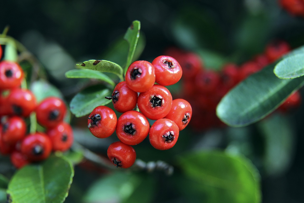 争力的球队 争力的球队