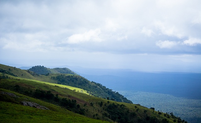的成功不仅 的成功不仅