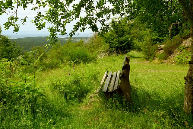 蔚山则需要 蔚山则需要