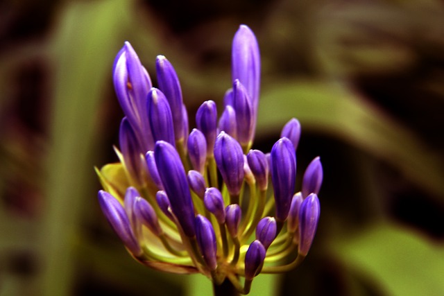 伤病频发的 伤病频发的