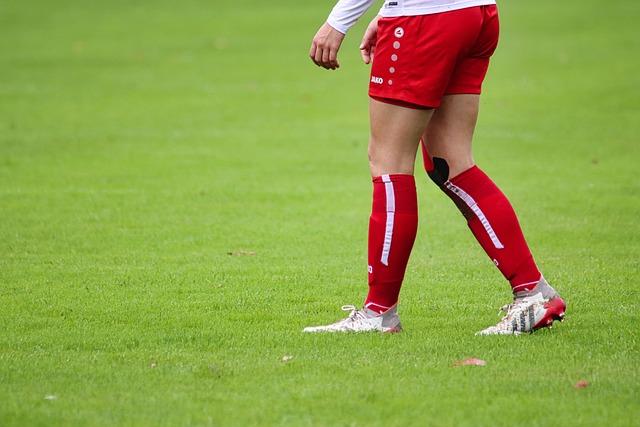 进行训练 进行训练