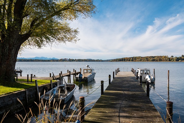 这一合作不 这一合作不